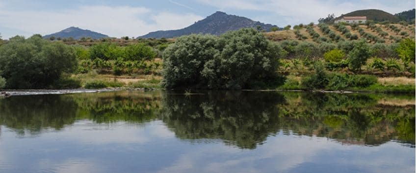 O Douro guarda encantos, segredos e lendas irresistíveis. Descubra-os!