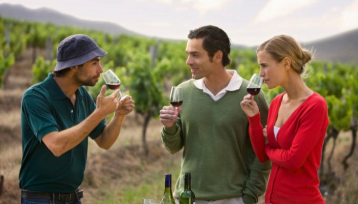 Douro Azul Cruzeiros preÃ§os: Descubra os sabores e aromas Ãºnicos do vinho do Porto na regiÃ£o vinÃ­cola do Douro.