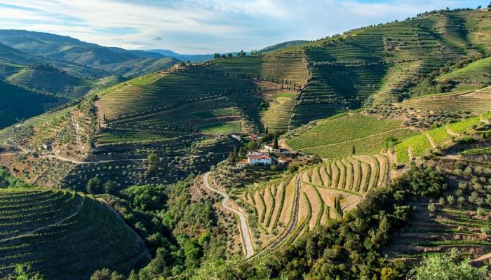 Entre terrazas verdes y viÃ±edos que abrazan el Valle del Duero