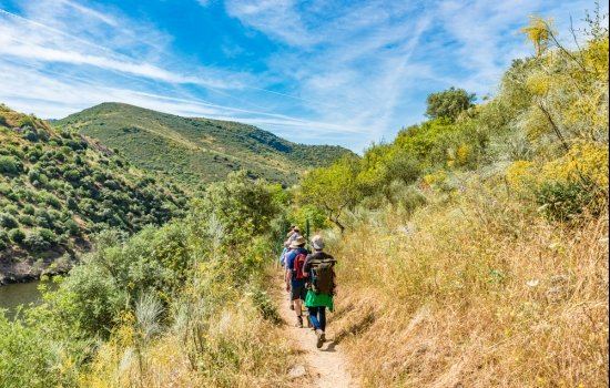 Um incrÃ­vel museu a cÃ©u aberto no Douro