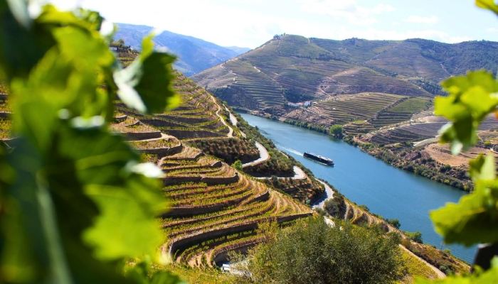 Paisagem sobre o Vale do Douro