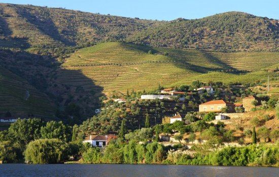 A RegiÃ£o Demarcada do Douro com as suas maravilhosas vinhas