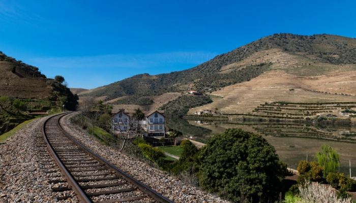 AntÃ³nia Ferreira, sÃ­mbolo de altruÃ­smo e de generosidade, Ã© ainda hoje uma figura de grande carisma do Douro.