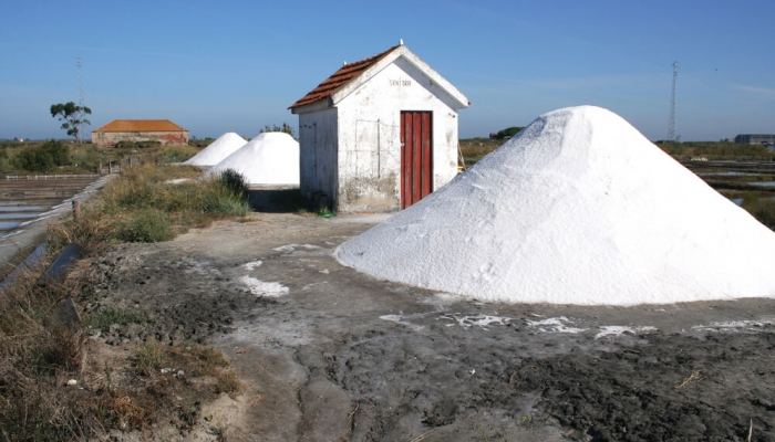 LA PRODUCTION DE SEL EST L'UNE DES ACTIVITÃ‰S LES PLUS CARACTÃ‰RISTIQUES D'AVEIRO.