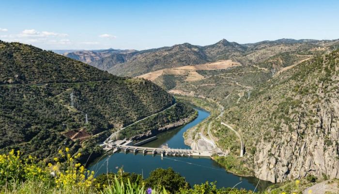 BarÃ£o de Forrester, era um verdadeiro apaixonado pela RegiÃ£o do Douro.