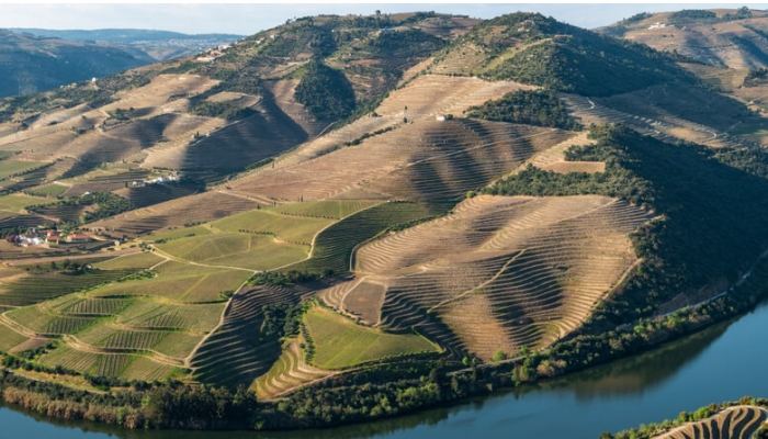 O PinhÃ£o situa-se na confluÃªncia do rio Douro com o rio PinhÃ£o.