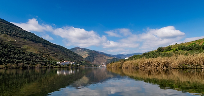 Cruzeiros 1 Dia - Cruzeiro Porto-Pinhão-Porto - Fim de Semana