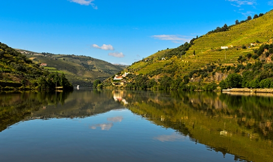 Régua - Pinhão - Régua (con almuerzo)