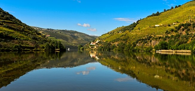 Cruceros de 1 Día - Crucero Régua-Pinhão-Régua con Almuerzo