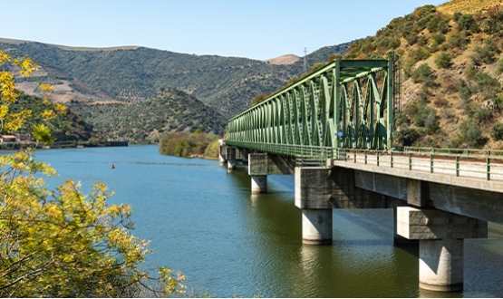 Régua - São João da Pesqueira - Régua Cruise