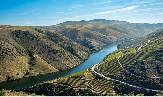 Crucero Oporto - Régua - Oporto<br>2 Días</br>