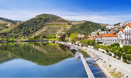 Crucero Oporto - Pinhão - Oporto <br>2 Días</br>