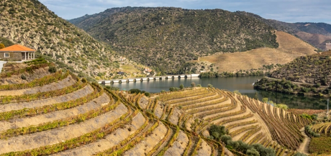 Tour Douro Vinhateiro