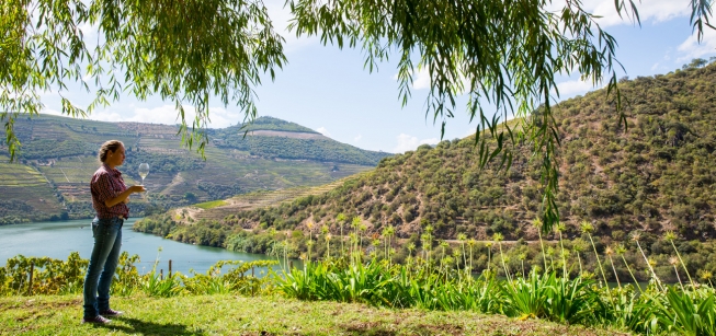 Uma aventura em pleno Rio Douro: com estadia na Quinta do Ventozelo 