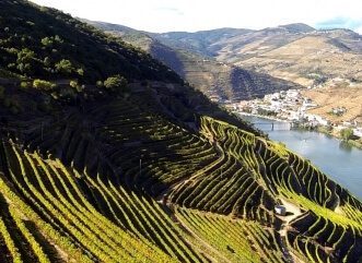 Route des Vins du Douro <br>2 Jours</br>