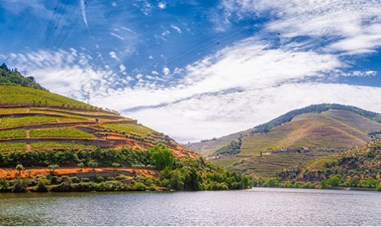 Porto - Régua - Porto (Subida)