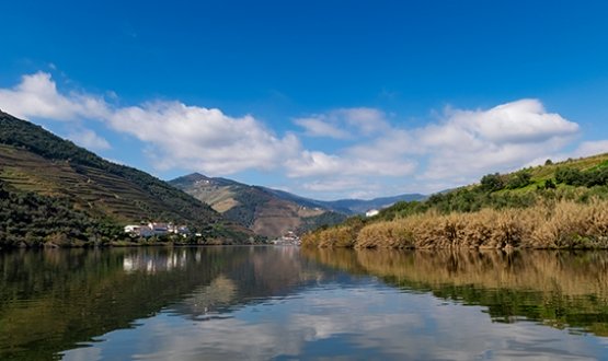 Porto - Pinhão - Porto