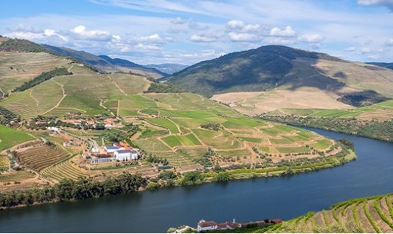 Régua - Porto - Régua