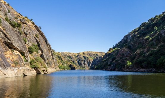 Régua - Pocinho - Régua