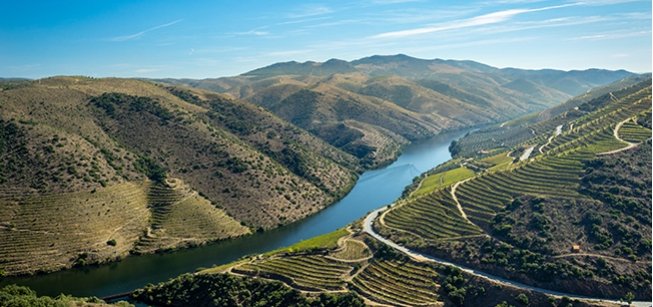 Cruzeiros de Vários Dias - Porto-Régua-Porto (Subida)