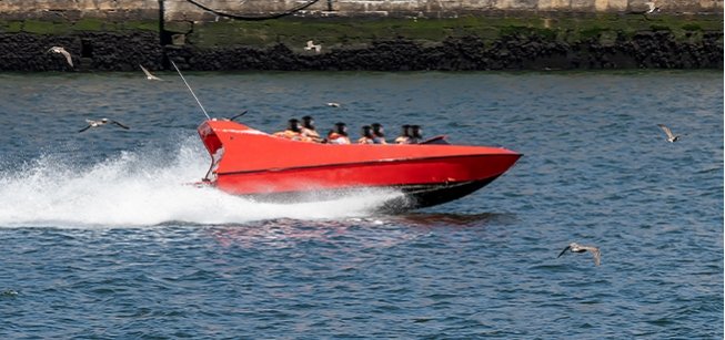 Douro Radical