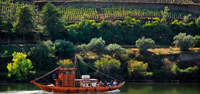 Croisières 1 jour - Croisière à vue Régua