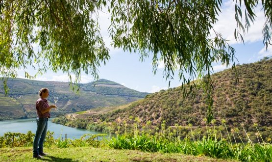 Douro Adventure