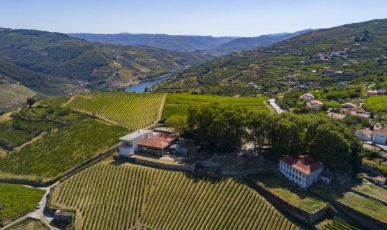 Crucero Escapada por el Duero <br>2 Días</br>