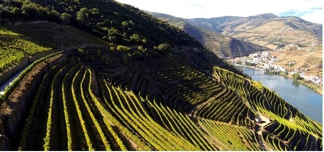 Cruzeiro Rota do Douro Vinhateiro