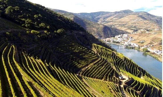 Ruta del Duero Viñatero <br>2 Días</br>