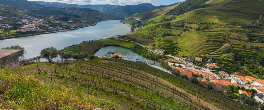 Pode encontrar várias opções de preços de cruzeiros para a subida rio Douro.